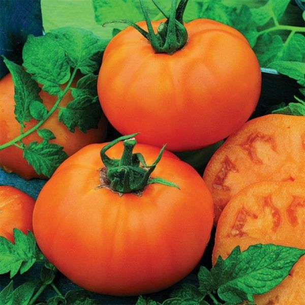 ����� ��� F1: ������������� ������ � ������ ������� � ������������� � ��������