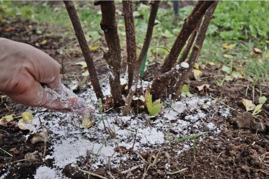 ����������� ���� ��� ��������� � ����������: ��� ������� ���������� ������ ����� � ����� ������� ����