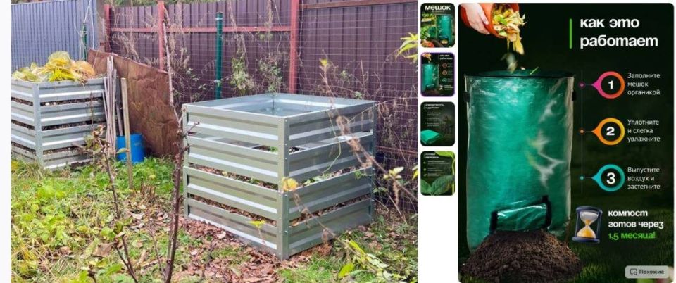 ������� ��� ������: ��� ������� ��������� � �������� ����������� ����� � �����