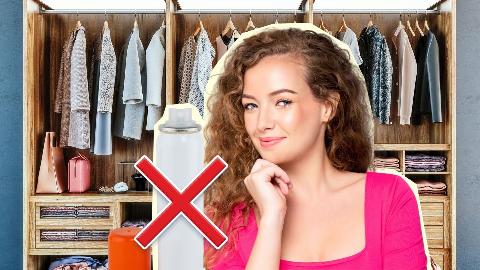 ���������� ���������� ������ �� �����������: ������ ���� ����������� ������� ��������