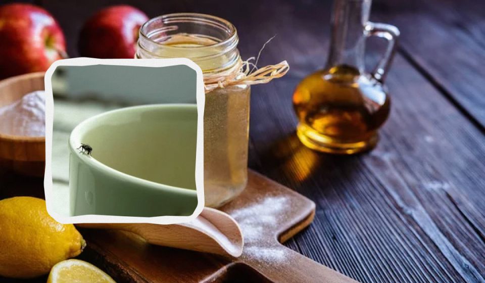 ��� ���������� �� ����� ������ � ������: 4 ����������� ������