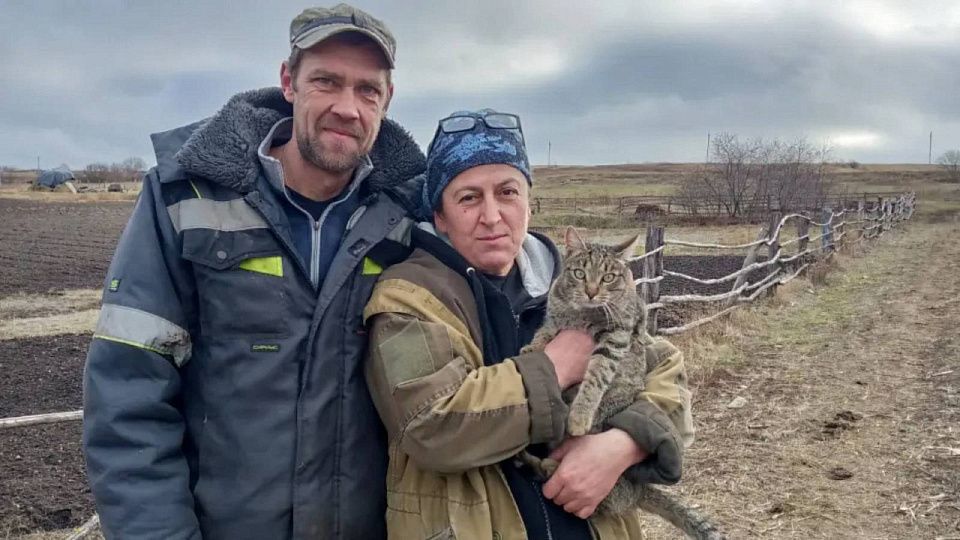 ���������� ��������� �� ���� � �����������