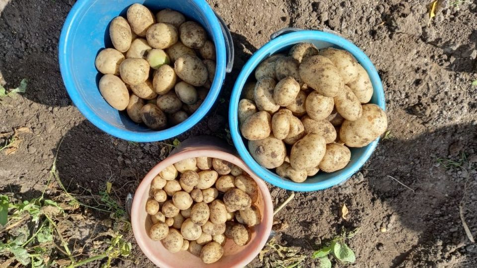 ������� ������������� ��������� ��������� �� ��������