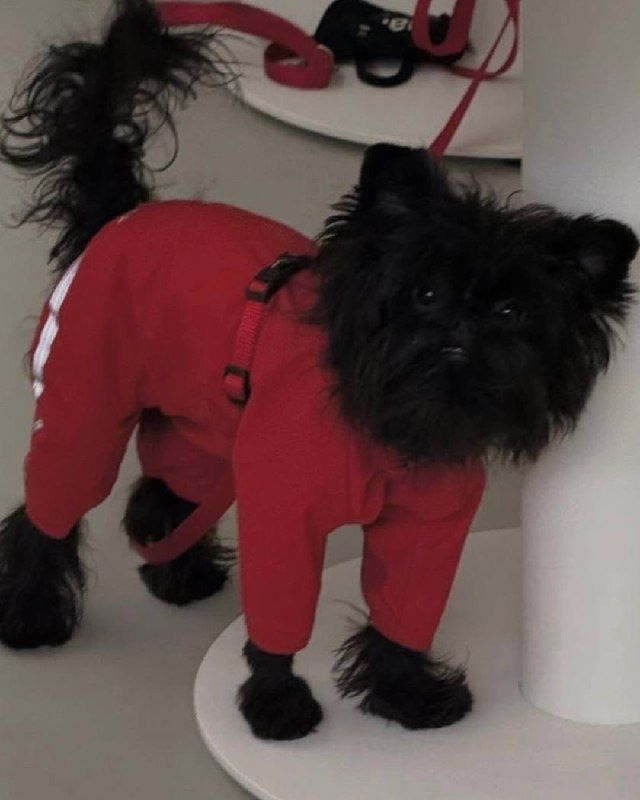 �� ������������� ��������� ����� �������