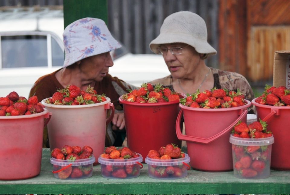 ������� �����: ��� �������� ����� ��� ������� �� ��������� ������