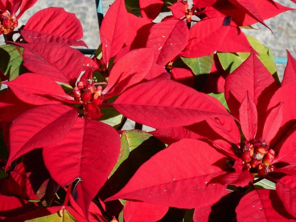 �������������� ������: ������� ��� ��������� ��� �������� ��������?