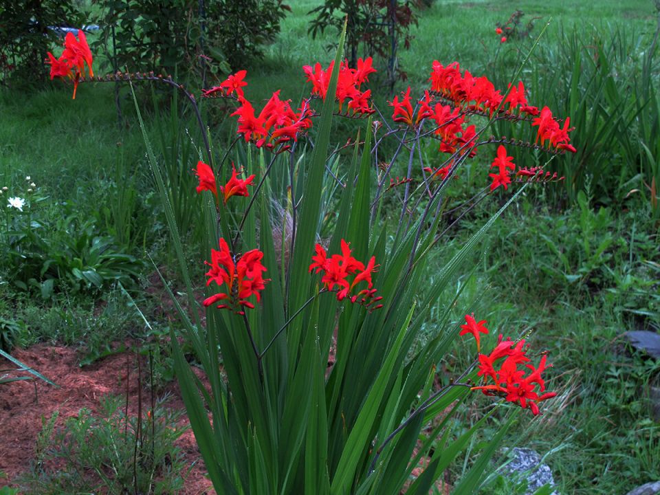 ����� ����������: ��� ��� �������� ������� ��� ���