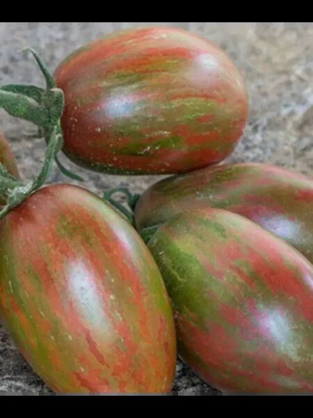 ����� ������� ����������: ��������� ���� ��� ������ �������