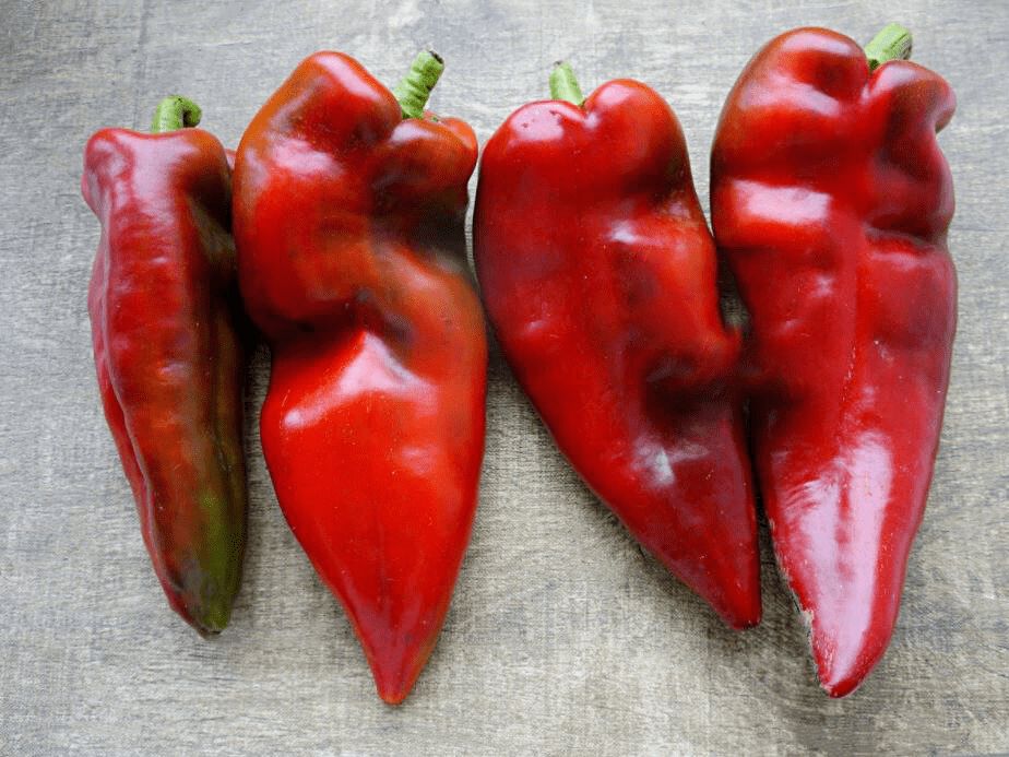 ��� ����� �����, ������� ����� ����������� �������