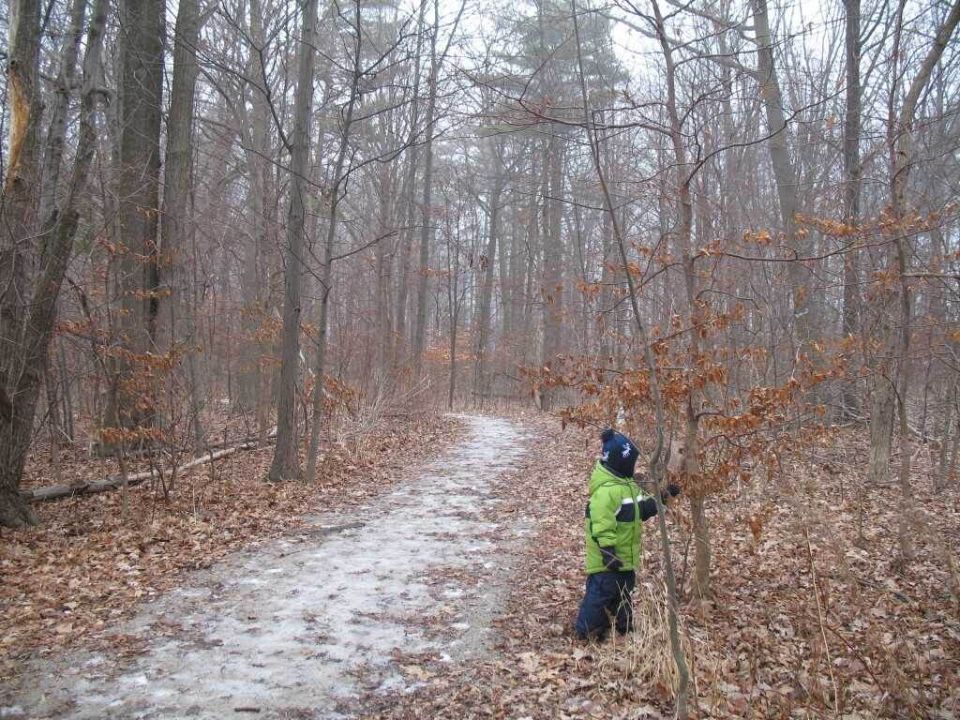 ������� ��������� �����: ��� ��������� ������ �� �����