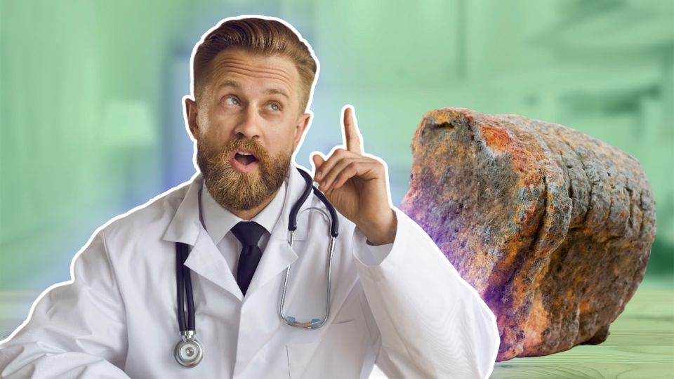 ������ �� ���� � ������: ��� ������ ���� ���� �� ��������� �������� ����� ���������