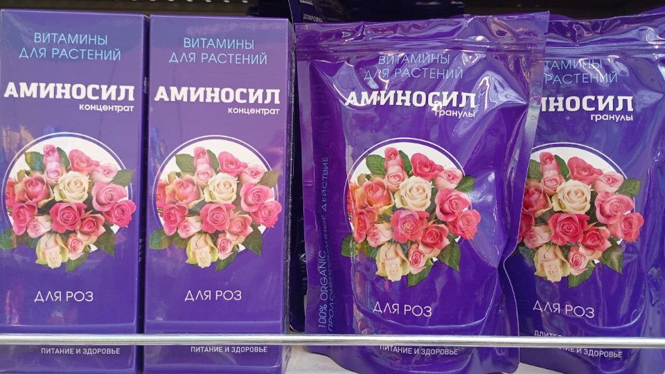 ��������: ������� ������������ ������������� ��������� ��� ��������