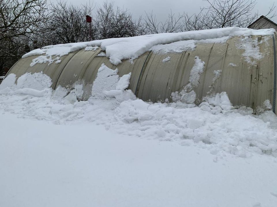 ���� ��������� ������� �� ���� ����: ��� �������� ��������� �������