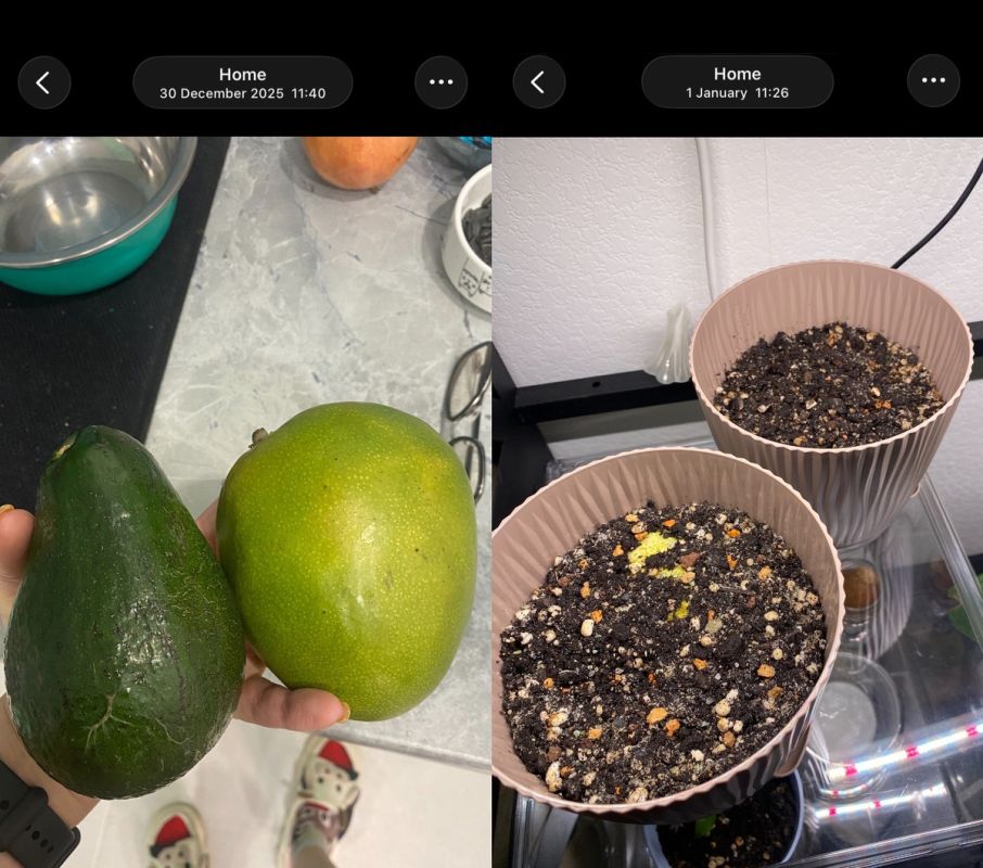 ��� ��������� �����: ������ ������� � ����������� ����������