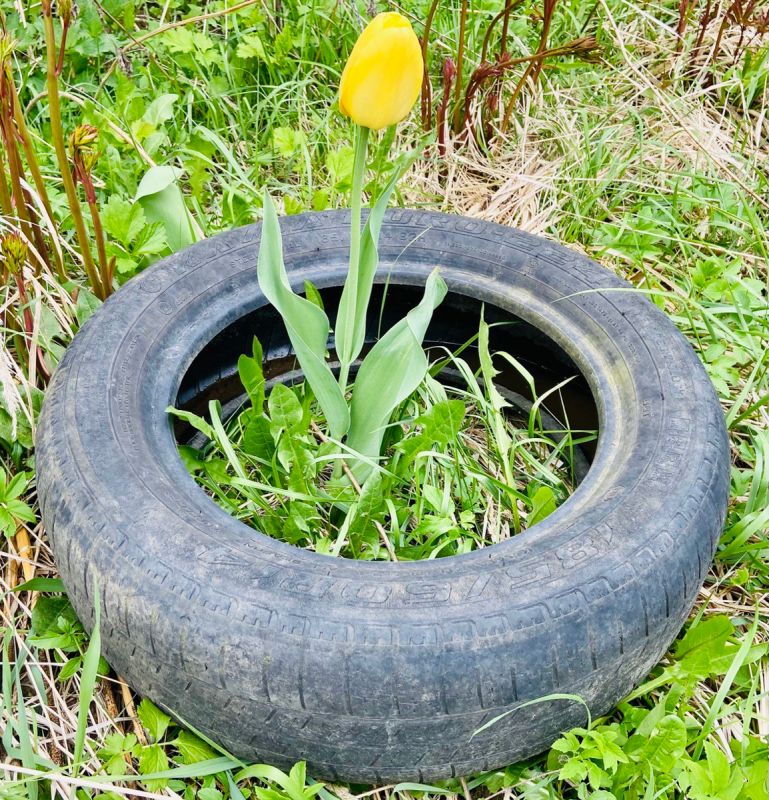 ��� ������������� ������ �������� � ���������� �������� ������� �������