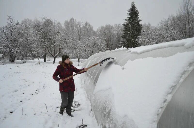 ������� �� ����: ������ ������ ���� ��� ���������