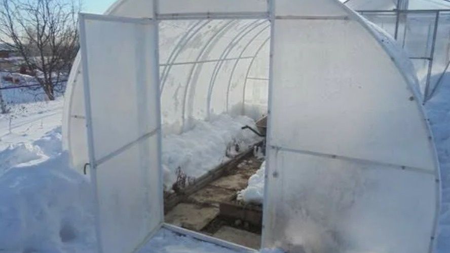 ������������ �����: ������ �������� ������� � ������ � ������ ������� ��� ����� ��������