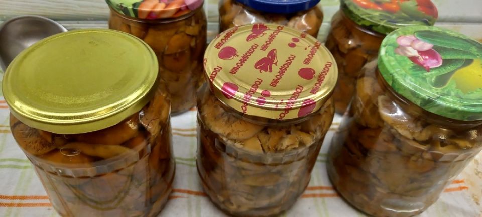 ������ ������: ��� �������� ������ ����� ��������� �����������