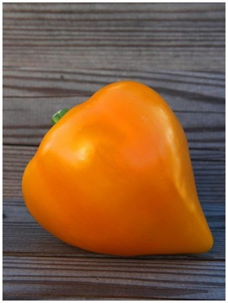 ������� ����� ���� �����: ��� ��������� ��������� ������� �� ���� �������