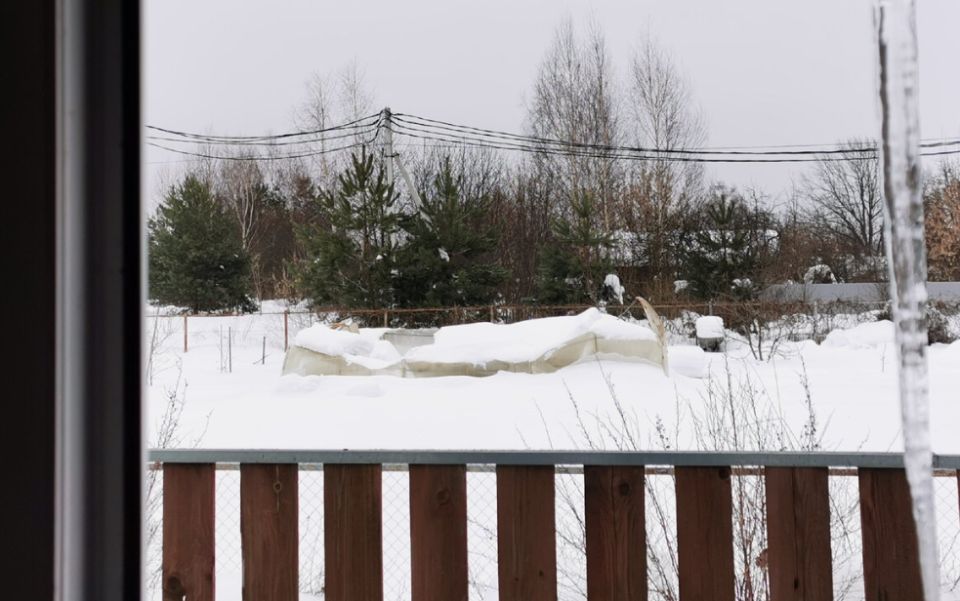 ��� ���� �� ����� ������ �� ���� �������: �������� ������