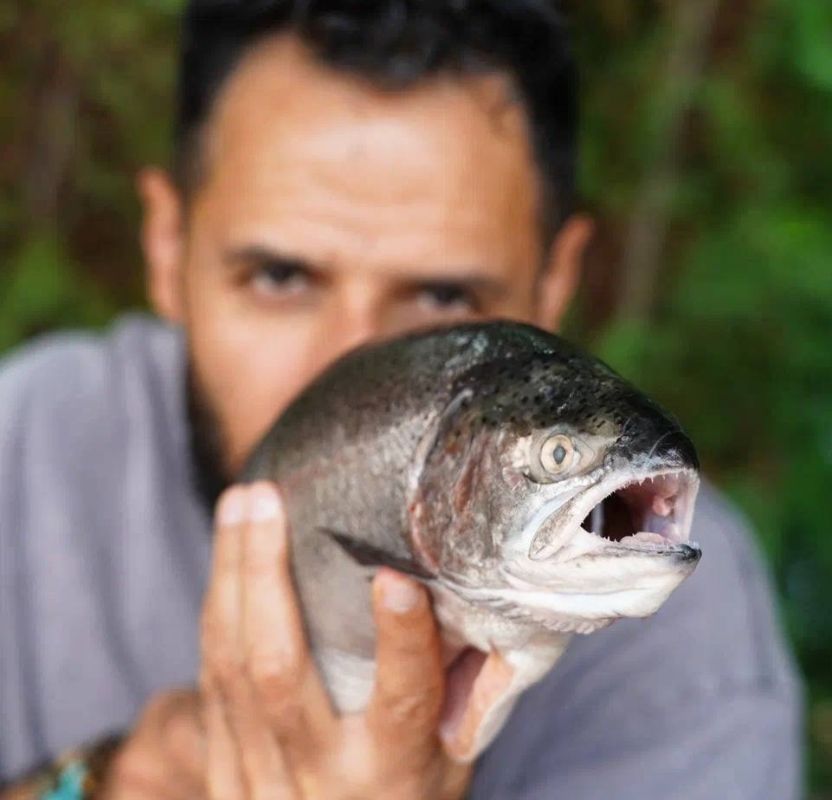 ��� �������� ���� �� ��������� � ����: �������� ������ ��� ��������