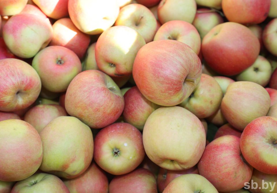 ��� ������� ��������� ������ � ��������: ������ ���������