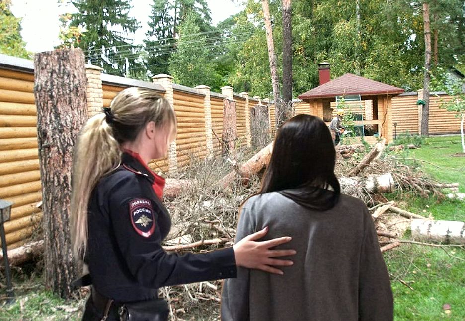 Условный срок за вырубку деревьев: справедливо ли такое наказание?