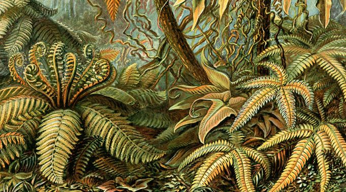 �����������: ���������� �������� � ������� �������� � ���������� �����������