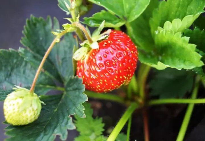 ��� ��������� �� ���������� � ����: ������ �� ������, ����������� � ������ � �����������