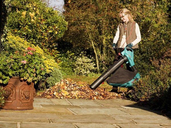 Садовые пылесосы: как выбрать идеального помощника для вашего участка
