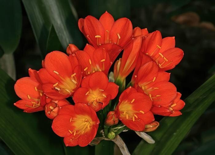 ��� ��������� ��������� �� ������� ��� ������ ��������