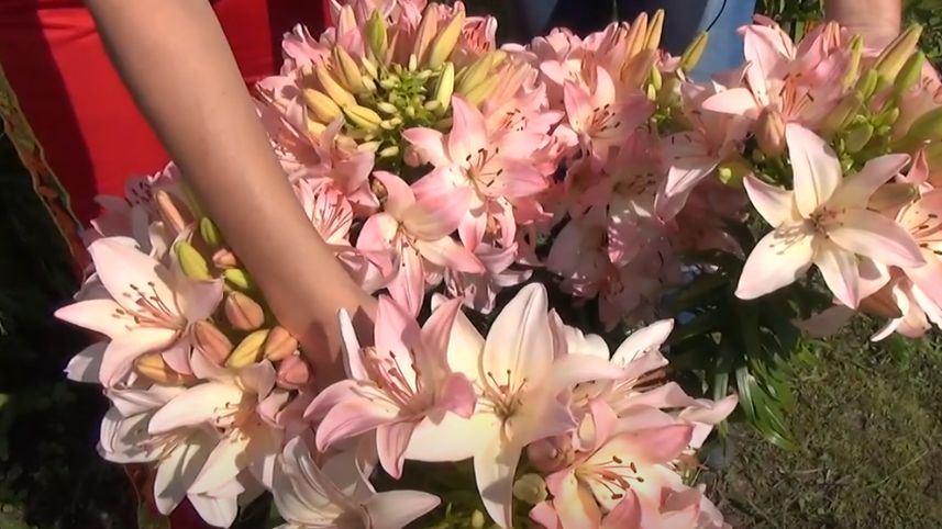 ��� ��������� ������� ����������� �������� ����� �� 35 �������