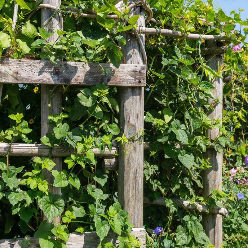 ���������� ����� ��� ��������: ��� ������������ ��������� ��������� �� ����