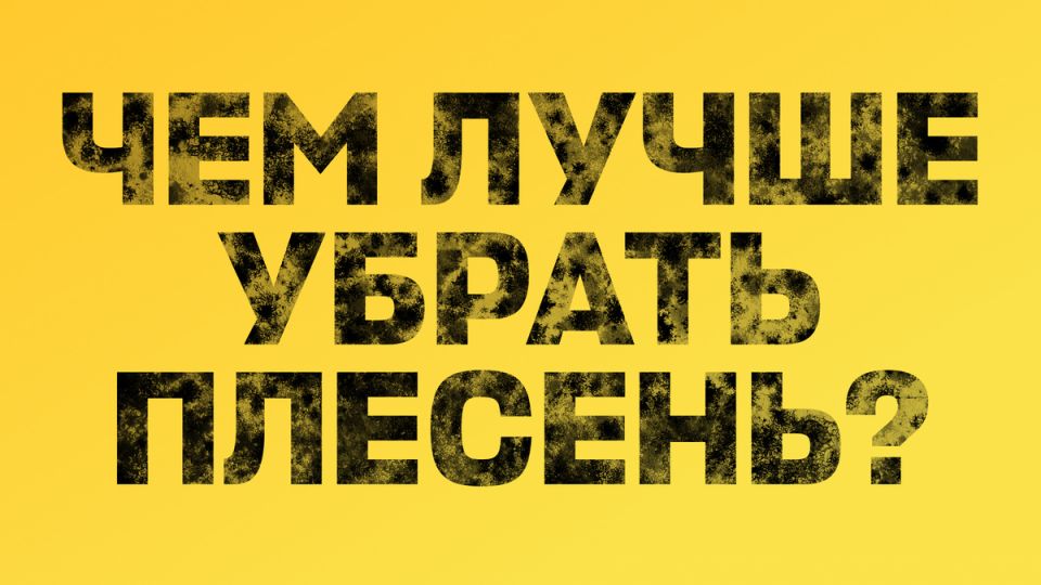 ������� � ����: �������� �������� ������ ����� � ��� �������� �����?