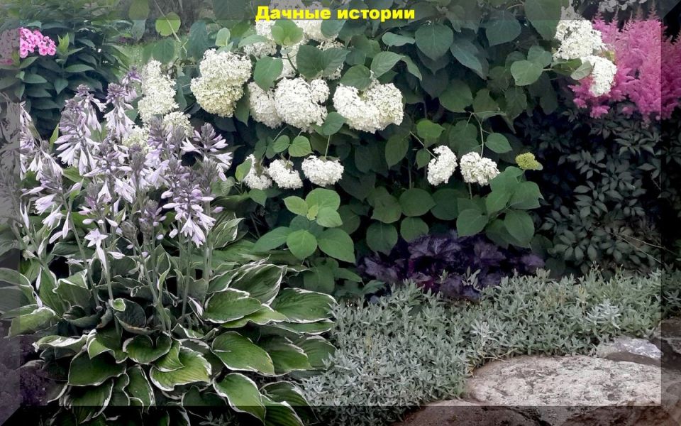 ��� ����������� ��������� � ����: ������ ��� ���������