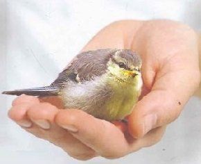 ��� ������������� ����� �������� ���� �����