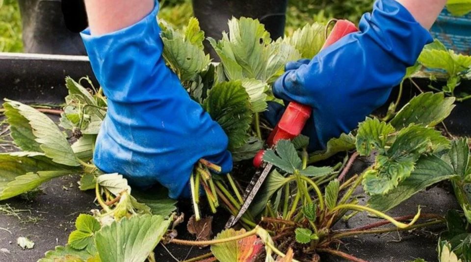 ��� ��������� �������� �������� ����� ������������ ��� ������� ������